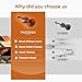 PHOENIX Violin 4/4 Full Size Kit, Violin Fiddle Set for Beginner Adults Student with Rosewood Bow Extra Strings & Bridge (Entry-level, Full)