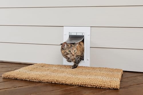 PetSafe Wall Entry Pet Door, Small - image 2