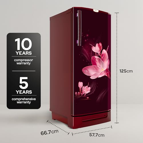Image of Godrej 185L 4 Star Single Door Refrigerator with 24 Days Farm Freshness, Jumbo Vegetable Tray, Dry Storage Drawer, Advanced Inverter Technology & 5 Years Warranty (RD 195DN TDI MY WN, Mystic Wine)