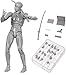 AHOHOS Action Figure Drawing Models, Human Mannequin Body Kun Doll Body-Chan Male/Female Action Figure DX Set, Suitable for Sketching, Painting, Drawing Mannequin Figure Models for Artist Grey Male