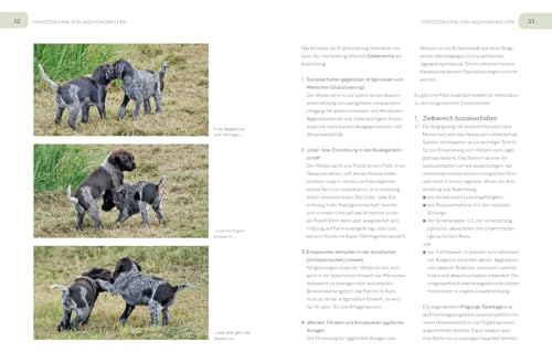 Der Jagdgebrauchshund: Erfolgreiche Jagdhunde Ausbildung. Erziehen – Abrichten – Führen (BLV Jagdhunde)