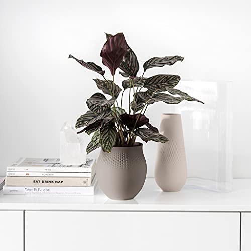 Villeroy & Boch - Manufacture Collier Taupe, Large vase Perle, 18 cm, Premium Porcelain, Taupe, Mole - Image 2