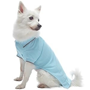 Blueberry Pet Pack of 2 Back to Basic Cotton Blend Dog Polo Shirts in Sky Blue and Light Grey Back Length 12 Clothes for Dogs