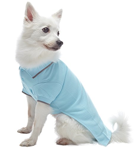Blueberry-Pet-Pack-of-2-Back-to-Basic-Cotton-Blend-Dog-Polo-Shirts-in-Sky-Blue-and-Light-Grey-Back-Length-12-Clothes-for-Dogs Blueberry Pet Pack of 2 Back to Basic Cotton Blend Dog Polo Shirts in Sky Blue and Light Grey Back Length 12 Clothes for Dogs