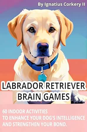 Labrador Retriever Brain Games: 60 Indoor Activities to Enhance Your ... - Labrador Brain Games For Obedience