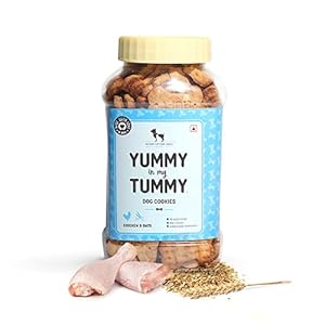 Heads Up For Tails Yummy in My Tummy Chicken Dog Biscuits for Adult Dog & Puppy – 320g | All Life Stages, Dog Treats, Crunchy Dog Biscuits | Made with Real Chicken