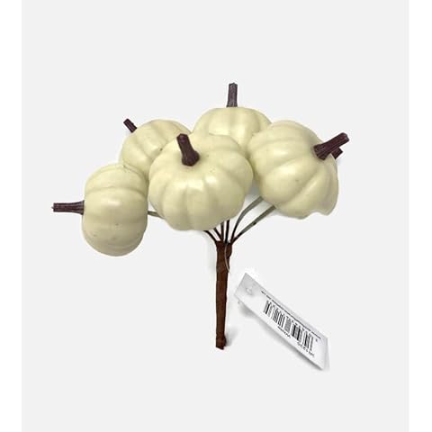 AFS 6 Wired Mini Pumpkins for Autumn Crafts Cover
