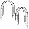 Design Toscano FZ91579 Thornbury Ornamental metal Garden Window Trellis Set of 2