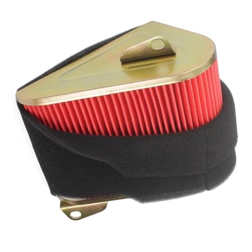 Filtre à air moto pour 125 150 50 XS150T 8 protection moteur