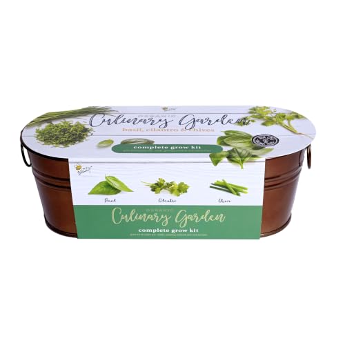 Buzzy Seeds Organic Windowsill Herb Kit - Metal...