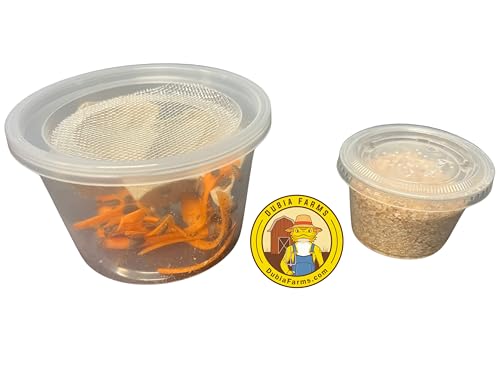 100 Extra Small Live Dubia Roaches + 100 Mealworms in Container Live Reptile Food for Bearded Dragons Turtles Lizards Frogs & Toads Feeder Insects
