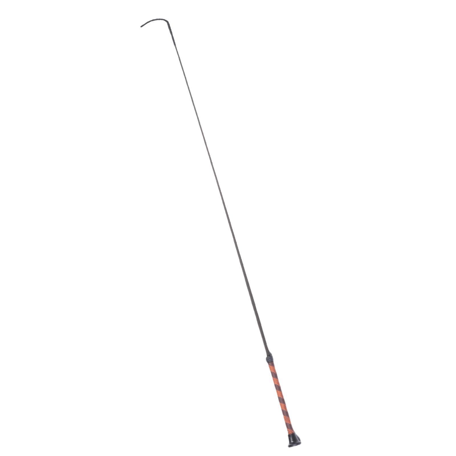 RiToEasysports Cravache en Fibre de Carbone, 110 Cm, Tête en Nylon tissé pour L'entraînement équestre