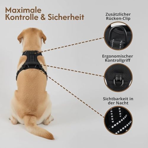 Fellstern Anti-Zieh-Geschirr,2026 New Anti-Zieh Hundegeschirr mit Step-in Design – Atmungsaktiv & Gepolstert – Für entspanntes Spazierengehen – Kontrolle ohne Ziehen – Für Hunde jeder Größe