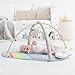 Skip Hop Baby Play Gym, Silver Lining Cloud, Grey