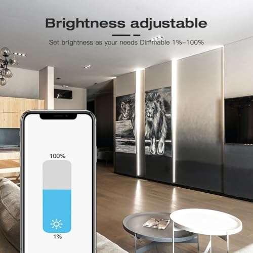 Contrôleur Ruban LED Zigbee 3.0 RGBW CCT Dimmer 2.4G - 6