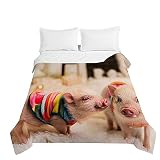 Surwin Colcha de Verano Reversible Colcha Bouti de Primavera y Entretiempo, Microfibra Ligera Colcha Acolchada Cubrecama con Cerdo Lindo 3D para Cama Individual Matrimonio (Vestido,150x200cm)