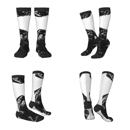 WAFICAC Medias para adultos con estampado de perro carlino negro, diseño moderno de colores contrastantes, ajuste cómodo y elástico para tallas 36-45