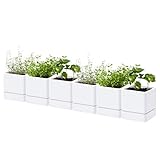 D'vine Dev 4 Inch Herb Planter Pot, Plastic Planter with Drainage Holes and Saucer, Modern Decorative Gardening Pot for Indoor Plants, Flowers, Herbs, Succulents, White, Set of 6, 76-Y-A6-1