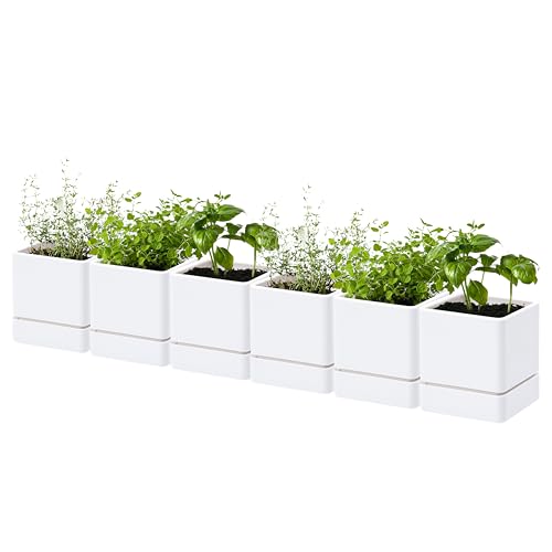 D'vine Dev 4 Inch Herb Planter Pot, Plastic Planter with