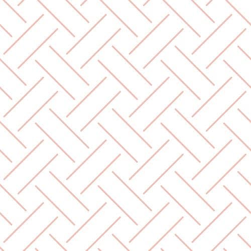 Miniatura 4 de PinPix Tablero de anuncios de corcho de 17 x 14 pulgadas. Este tablero decorativo enmarcado viene con diseño de salmón blanco celosía y un marco