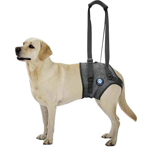 KAJILE Hundegeschirr,Hundestützgeschirr für die Hinterbeine,Hundestützschlaufe für Verletzte Behinderte Kleine,Mittlere und Große Hunde,Dunkelgrau,M