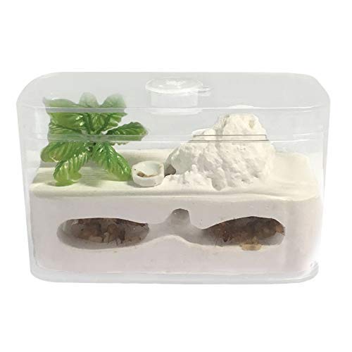 【MICE】アリ石膏巣ユニット 30×20cm×2個セット 楽天市場】アリ飼育キット 石膏製巣箱 アリ城 アリ飼育セット