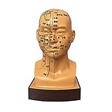 ▶ Dieses chinesische Akupunkturmodell ist eine ideale Lehrhilfe. Es ist detailliert genug, um Studenten, Ärzte oder alle, die sich für die menschlichen Meridiane und Akupunkturpunkte interessieren, zufrieden zu stellen