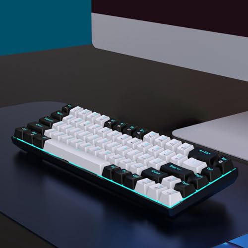 Clavier mécanique remplaçable à chaud 19 modes d'éclairage LED périphérique PC Gamer