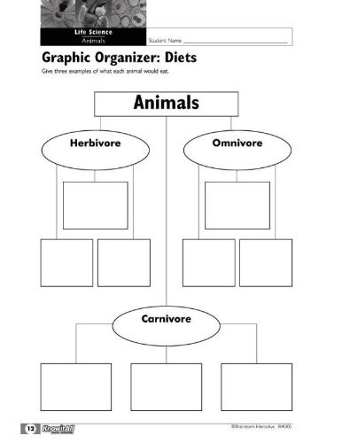 Brainstorm Interactive Know it All Graphic Organizers - 2nd Grade