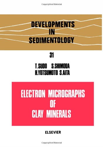 Electron Micrographs of Clay Minerals (Developments in Sedimentology) Hardcover – 1 February 1981
