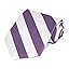 Wisteria Purple and White