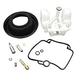 Il kit di riparazione del carburatore include guarnizioni e altre parti necessarie per una riparazione del carburatore efficiente e affidabile.