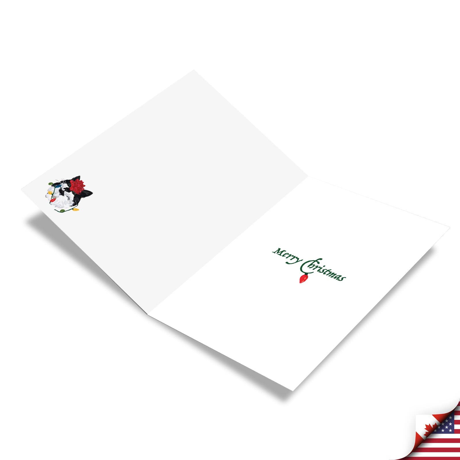 The Best Card Company Purr-fect Holiday Red Bow - 12 cartes de vœux de Noël avec enveloppes (11,6 x 17,5 cm) - C9555BXSG-B12x1