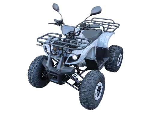 【リニューアル】バギー 四輪 49cc ミニ ATV YH 4サイクルエンジン搭載 RZ-XJ-R【タイヤもスケールアップし装備も充実！】【西濃運輸支店止め発送】 (グレー)の画像