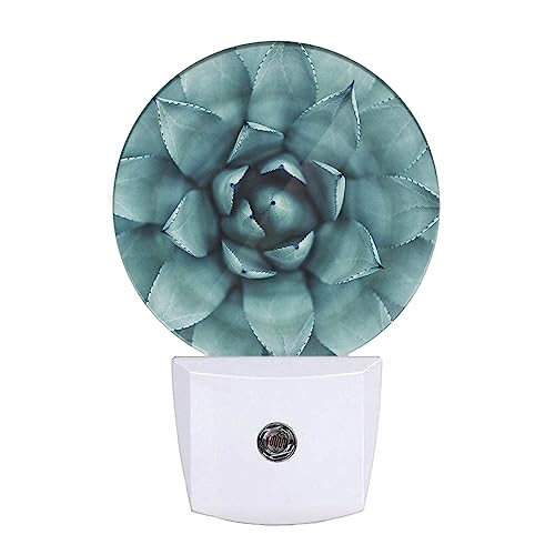 Image of EKOBLA Cactus Night Light, Green Tropical Plant Night Lights Plug Into Wall with Dusk to Dawn Auto Sensor for Bathroom, Hallway, Kitchen and Indoor Home Decor