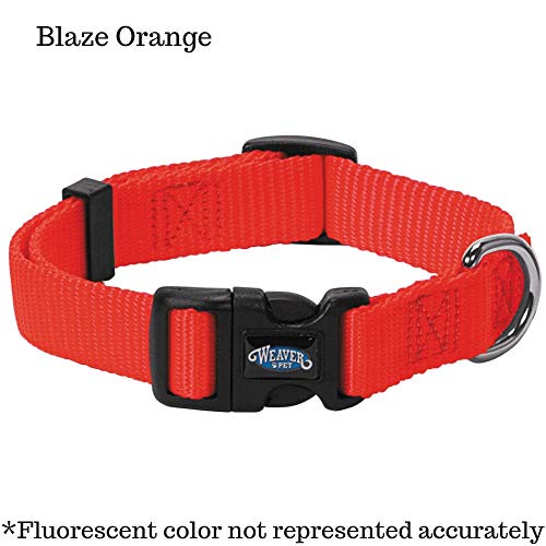 Nylon Prism Snap-N-Go Collar by Weaver Leather, Blaze Orange, 3/4