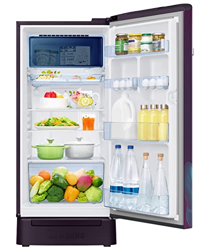 Image of Samsung 189L 5 Star Inverter Direct-Cool Single Door Digi-Touch Refrigerator Appliance (RR21C2F259R /HL,Paradise Bloom Purple) Base Stand Drawer