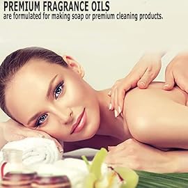 Blueberry Essential Oil,Pure Oganic Plant Natrual Scents Essential Oil for Diffuser for Home,Office, Outdoors, 10ML