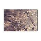 WALLERO HandArt Cuadro en Lienzo Diente de león gotas de agua – Impresión con Textura y Gel Acrílico | Cuadros Decorativos de Pared para Salón, Dormitorio y Pasillo 30x20