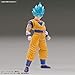 Bandai Hobby Figure-rise Standard SSGSS Goku (Special Color Ver.) 