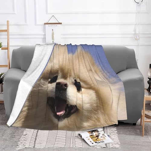 Couverture Poméranien en flanelle douce le cadeau parfait pour les passionnés de chiens