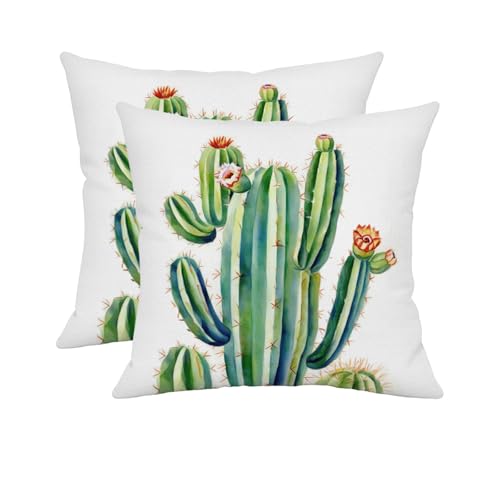 Summer Cactus Pillow Covers Set of 2