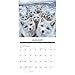 Willow Creek Press, Animal Selfies 2026 Wall Calendar, 12'' X 12'', 18-Month Calendar with Stapled Binding