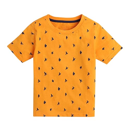 Image of Hopscotch Boys Graphic Regular Fit T-Shirt (Pack of 5)