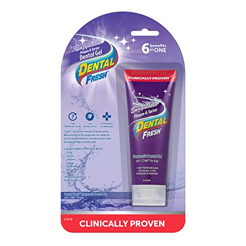 Top 10 Best Vet Dog Toothpaste Reviews & Buying Guide