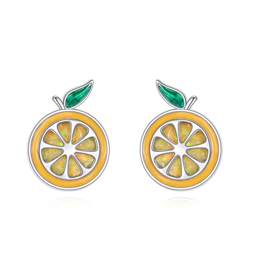 Orange Earrings 925 Sterling Sliver Fruit Stud Earring Orange Jewelry Gifts for Women