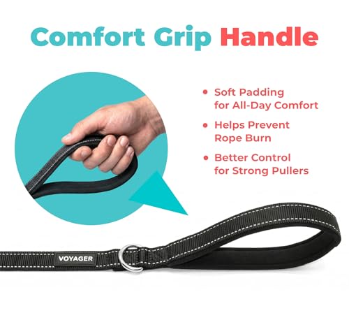 Image of Best Pet Supplies Voyager Reflective Dog Leash or Collar with Neoprene Handle, for Small, Medium, and Large Breed Puppies, Cute and Heavy Duty for Walking, Running and Training - Black (Leash), S