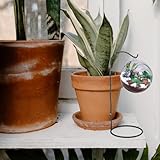 Zoom IMG-2 sewacc supporto per piante sospese Zoom IMG-2 sewacc supporto per piante sospese