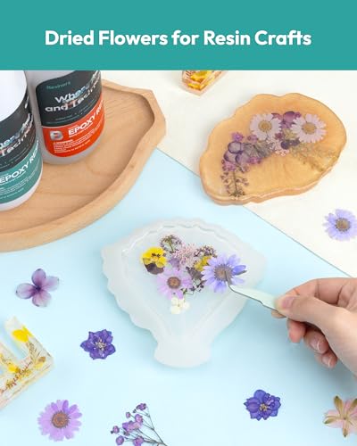 Image of Dried Flowers, Resiners 100Pcs Pressed Flowers for Craft Purple Real Natural Dried Flowers Dry Leaves Kit for DIY Making Crafts Resin Soap Candle Scrapbook Supplies Card Making Jewelry