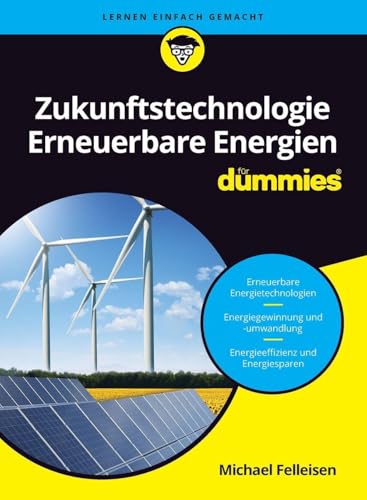 Zukunftstechnologie Erneuerbare Energien für Dummies